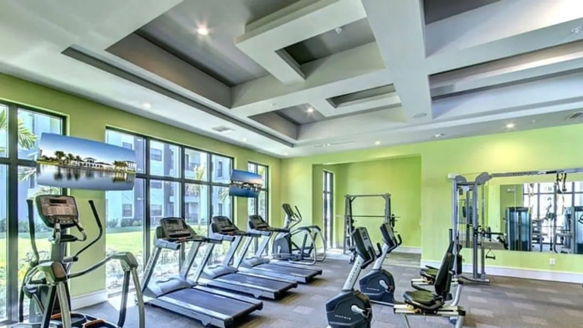 Gym cardio equipment featured in the Top Gym beginner guide